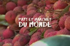 Pays et marchés du monde