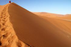 Namibie, la vie des sables