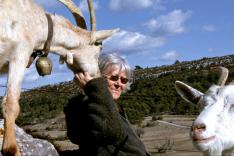 Les chèvres de ma mère