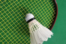 Badminton : Championnats de Belgique