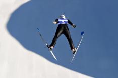 Saut à ski : Coupe du monde à Willingen