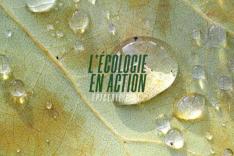 L'écologie en action