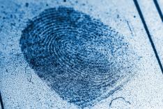 Histoires de crimes