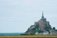 Des racines et des ailes