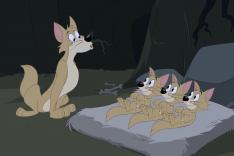 Tom et Jerry Show