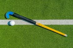 Hockey sur gazon : FIH Pro League (messieurs)