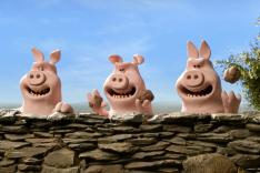 Shaun le mouton : Mossy Bottom Farm
