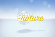 Curieux de Nature