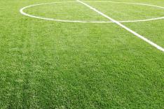 Championnat d'Ecosse : Les temps forts