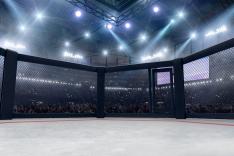 MMA : PFL Europe