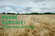 Monde agricole : la fracture de l'eau