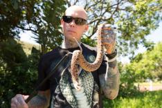 Snakes In the City Compilations