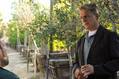 NCIS