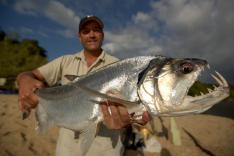 Bêtes de poissons