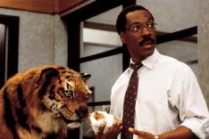 Dr. Dolittle