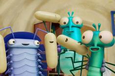 Bienvenue chez les Mouche