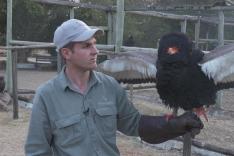 Refuges pour animaux sauvages