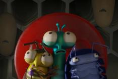 Bienvenue chez les Mouche