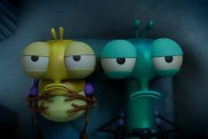 Bienvenue chez les Mouche