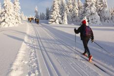 Ski de fond : Coupe du monde à Oslo