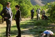 Mentalist