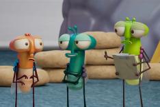 Bienvenue chez les Mouche
