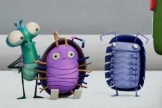 Bienvenue chez les Mouche