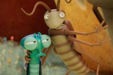Bienvenue chez les Mouche