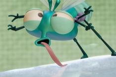 Bienvenue chez les Mouche
