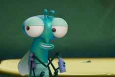 Bienvenue chez les Mouche