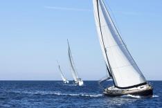 Voile : Grand Prix de San Francisco
