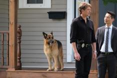 Hudson et Rex