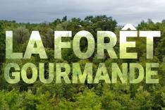 La forêt gourmande