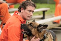 Hudson et Rex