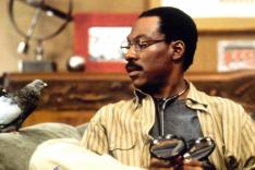 Dr. Dolittle 2