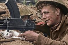 39-45, les animaux dans la guerre
