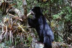 Destination Wild : Les secrets de l'Equateur