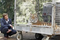 Mentalist