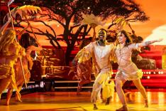 Danse avec les stars