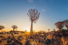Namibie : L'Incroyable Far-West Africain