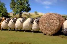 Shaun le mouton : Mossy Bottom Farm