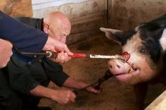L'incroyable Dr Pol
