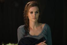 Haven