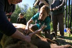 Michelle ou la vie sauvage