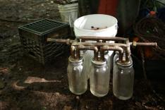 Alcool de contrebande