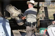 La loi du Texas