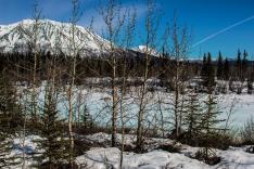 Aux frontières de l'Alaska