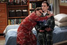 The Big Bang Theory