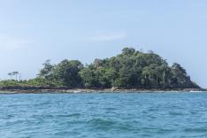 The Island