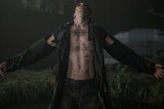 The Crow